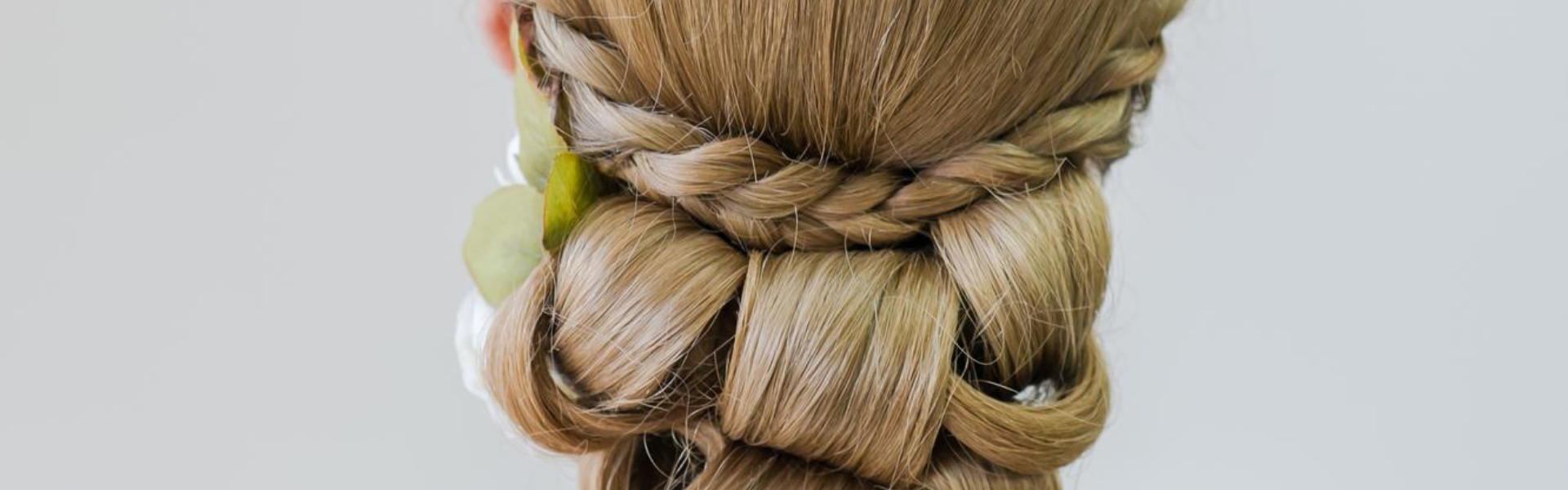 Banner del curso Recogidos