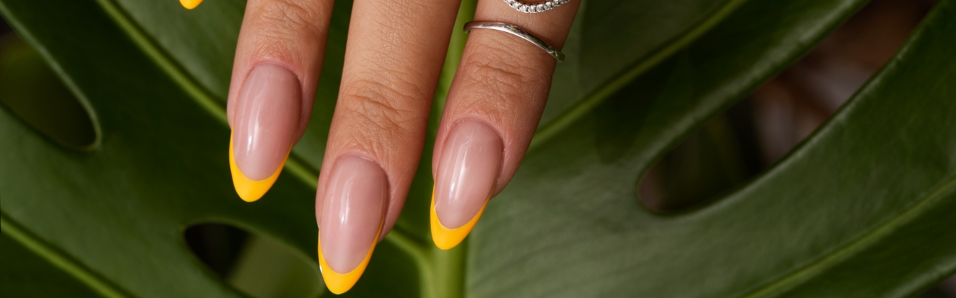 Banner del curso Tecnicas Basicas de Decoración